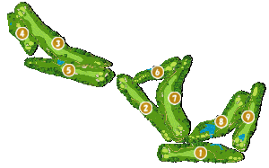 コース全体俯瞰図