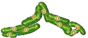 コース全体俯瞰図