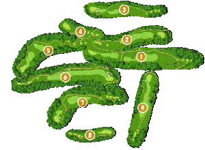 コース全体俯瞰図