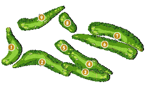 コース全体俯瞰図