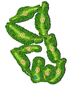 コース全体俯瞰図