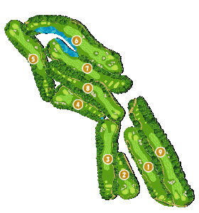 コース全体俯瞰図