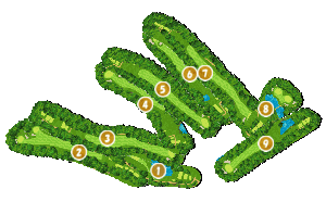 コース全体俯瞰図