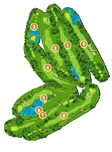 コース全体俯瞰図