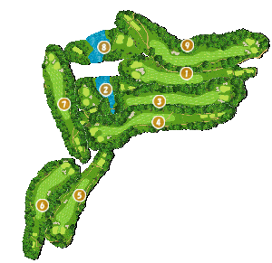 コース全体俯瞰図