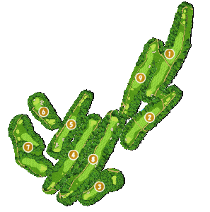 コース全体俯瞰図