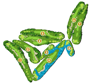 コース全体俯瞰図