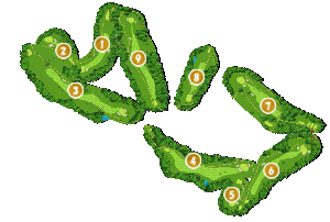 コース全体俯瞰図