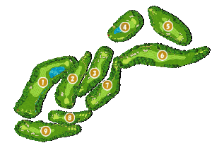 コース全体俯瞰図