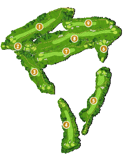 コース全体俯瞰図