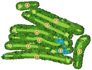 コース全体俯瞰図