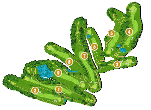 コース全体俯瞰図