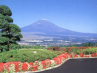 小田原ゴルフ倶楽部 日動御殿場コースの写真