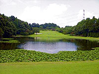 ゴルフ倶楽部成田ハイツリーの写真