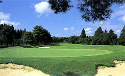 キャスコ花葉ＣＬＵＢ 空港コースの写真