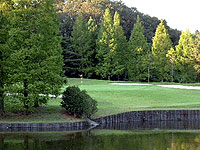 PGM総成ゴルフクラブの写真