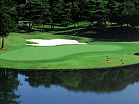 セブンハンドレッドクラブの写真