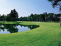 ３１カントリークラブの写真